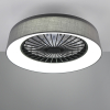 Trio Plafondventilator met LED lamp | Farsund | Ø 48.5 cm | 2700-6500K | Grijs | 30W | Trio Lighting  LTR00729 - 2