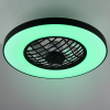 Trio Plafondventilator met LED lamp | Linköping | Ø 59 cm | RGB + 2700-6500K | Zwart | 45W | Trio Lighting  LTR00727 - 4