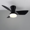 Trio Plafondventilator met LED lamp | Randers | Ø 76 cm | 2700-6000K | Zwart | 20W | Trio Lighting  LTR00717 - 2