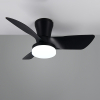 Trio Plafondventilator met LED lamp | Randers | Ø 76 cm | 2700-6000K | Zwart | 20W | Trio Lighting  LTR00717 - 3