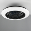 Trio Plafondventilator met LED lamp | Stralsund | Ø 49 cm | 2700-6500K | Zwart | 30W | Trio Lighting  LTR00724 - 1
