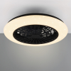 Trio Plafondventilator met LED lamp | Stralsund | Ø 49 cm | 2700-6500K | Zwart | 30W | Trio Lighting  LTR00724 - 3