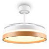 Plafondventilator met LED lamp | Volda | Ø 106 cm | 2700-6500K | Inklapbare bladen | Hout | 30W | Trio Lighting LTR00847 - 2