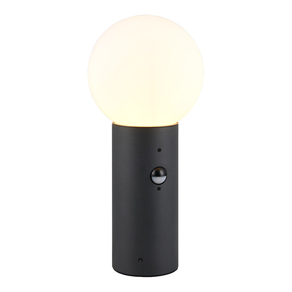 Sokkellamp buiten met sensor E27 | Mures | Antraciet | IP44 | Trio Lighting LTR00814 - 1