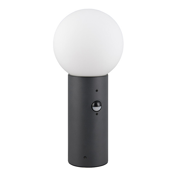Sokkellamp buiten met sensor E27 | Mures | Antraciet | IP44 | Trio Lighting LTR00814 - 2
