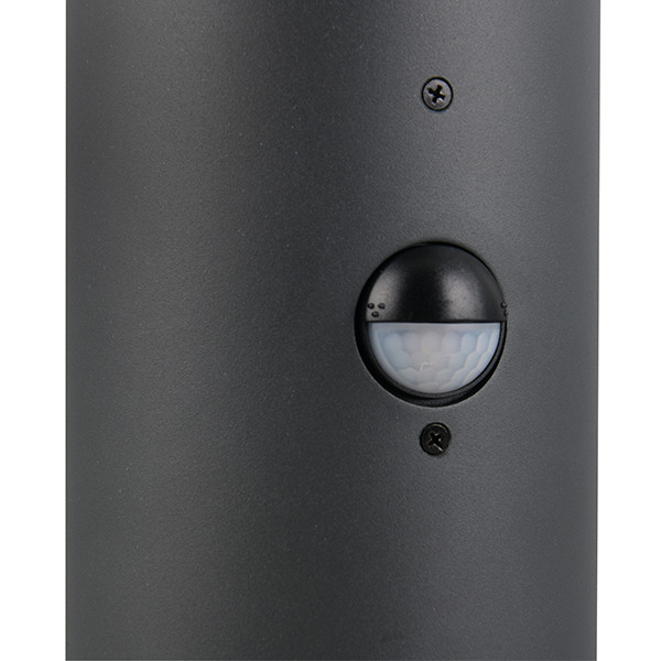 Sokkellamp buiten met sensor E27 | Mures | Antraciet | IP44 | Trio Lighting LTR00814 - 3