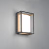 Trio Wandlamp buiten | Witham | 2300-3000-4000K | Antraciet | IP54 | 10.5W