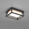 Trio Wandlamp buiten | Witham | 2300-3000-4000K | Antraciet | IP54 | 10.5W  LTR00385 - 2