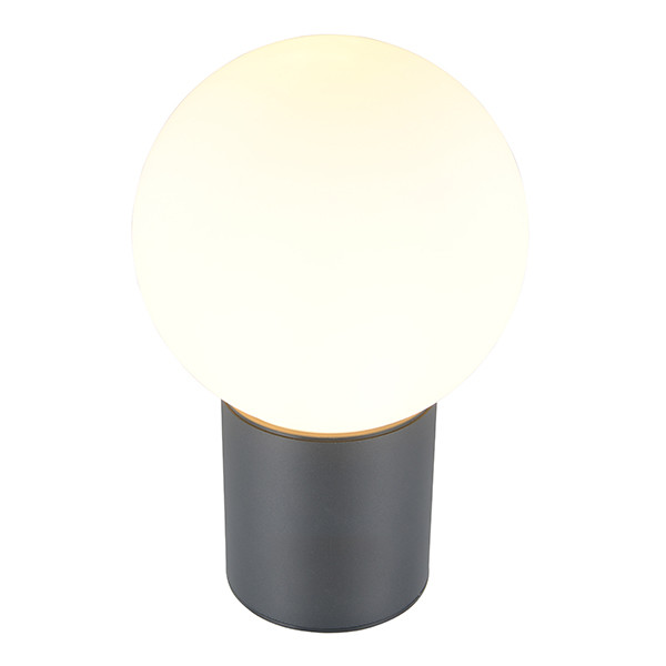 Wandlamp buiten E27 | Mures | IP44 | Antraciet | 4W | Trio Lighting LTR00809 - 5