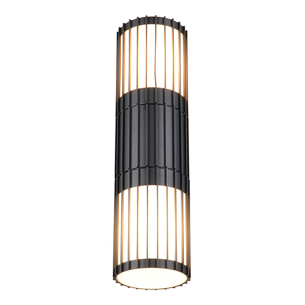 Wandlamp buiten E27 | Volga | Up & Down | IP54 | Antraciet | Trio Lighting LTR00820 - 4
