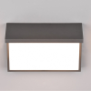 Trio Wandlamp buiten met sensor | Nestos | 3000K | Antraciet | IP54 | 13W  LTR00348 - 3