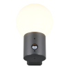 Wandlamp buiten met sensor E27 | Mures | IP44 | Antraciet | Trio Lighting LTR00810 - 3