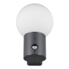 Wandlamp buiten met sensor E27 | Mures | IP44 | Antraciet | Trio Lighting LTR00810 - 4