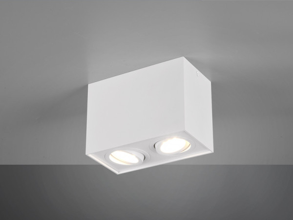 Trio led opbouwspot | Rechthoek | Biscuit | Wit | 2x GU10 fitting  LTR00151 - 2