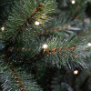Kunstkerstboom 2,15m | Forest frosted | 304 lampjes | 1248 Tips | PVC | Triumph Tree LBB00307 - 2
