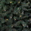 Kunstkerstboom 2,15m | Forest frosted | 304 lampjes | 1248 Tips | PVC | Triumph Tree LBB00307 - 3