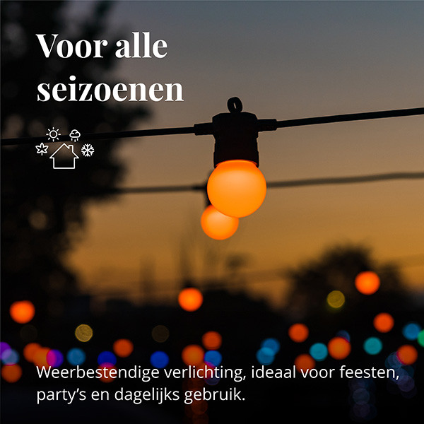 Twinkly Feestverlichting RGB | 10 meter (20 leds, Wifi, IP44)  LTW00035 - 4