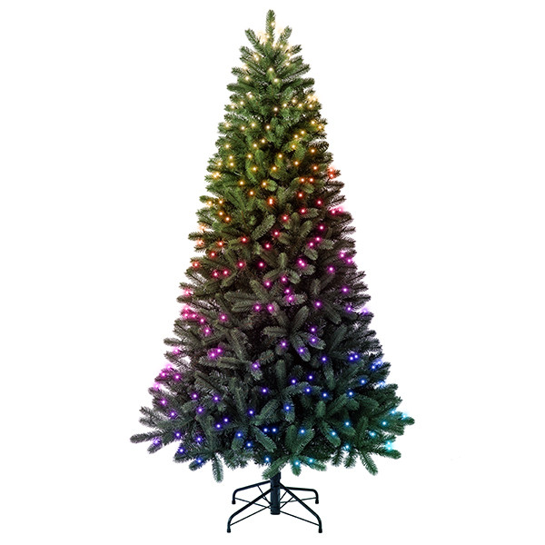 Twinkly Kerstboom 2.1 meter | RGBW | 1250 tips (435 LEDs, Wifi, IP20)  LTW00068 - 1