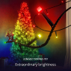 Twinkly kerstverlichting RGB | 60 meter | Multicolor (750 leds, Wifi, IP44)  LTW00089 - 2