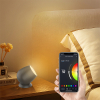 WOOX R5145 Smart Ambient lamp | 3000-6500K + RGB | 210 lumen | 2.2W (Zwart)  LWO00071 - 4
