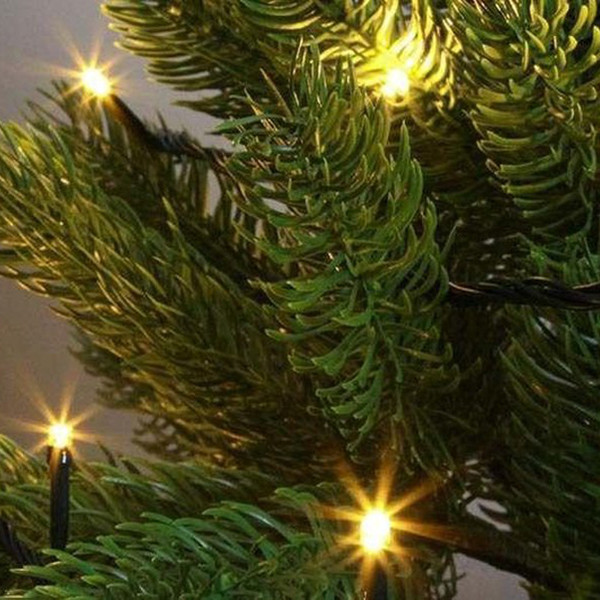 WOOX R5168 Slimme kerstverlichting | 20 meter | Warm wit (200 leds, Wifi, Muziek, IP44)  LWO00079 - 2