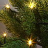 WOOX R5170 Slimme kerstverlichting | 40 meter | Warm wit (400 leds, Wifi, Muziek, IP44)  LWO00080 - 3