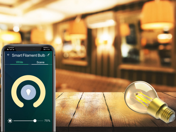 WOOX Smart lamp E27 | Peer A60 | 2700K | 650 lumen | 6W LWO00022 - 2