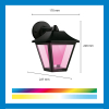 WiZ Connected WiZ Outdoor Wandlamp | Ovaal | Zwart | RGB + 2700-5000K | 9.5W  LWI00186 - 2