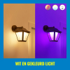 WiZ Connected WiZ Outdoor Wandlamp | Ovaal | Zwart | RGB + 2700-5000K | 9.5W  LWI00186 - 4