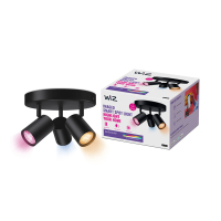 WiZ Connected WiZ Slimme opbouwspot | Rond | Zwart | RGB + 2200-6500K | 14.7W  LWI00151