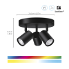 WiZ Connected WiZ Slimme opbouwspot | Rond | Zwart | RGB + 2200-6500K | 14.7W  LWI00151 - 2