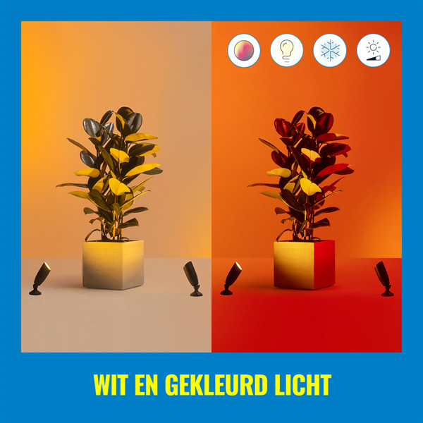 WiZ Connected WiZ Smart Grondspot | Rond | Zwart | RGB + 2700-5000K | 10W | 2 stuks  LWI00172 - 8