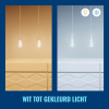 WiZ Connected WiZ Smart lamp E27 | Edison ST64 | Filament | Helder | RGB + 2200-6500K | 6.3W (40W)  LWI00133 - 6
