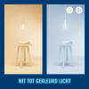 WiZ Connected WiZ Smart lamp E27 | Globe G95 | Filament | Helder | RGB + 2200-6500K | 6.3W (40W)  LWI00132 - 6