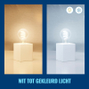 WiZ Connected WiZ Smart lamp E27 | Peer A60 | Filament | Helder | RGB + 2200-6500K | 6.3W (40W)  LWI00131 - 6
