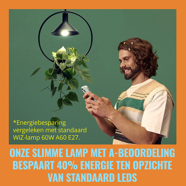 WiZ Smart lamp E27 | Peer A60 | Helder | 2700-4000K | WiFi (Tuya) | 4.3W LWI00125 - 4