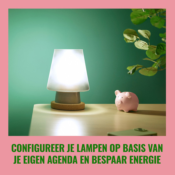 WiZ Connected WiZ Smart lamp E27 | Peer A60 | Ultra Efficient | Filament | Helder | 2700-4000K | 4.3W (60W)  LWI00125 - 5