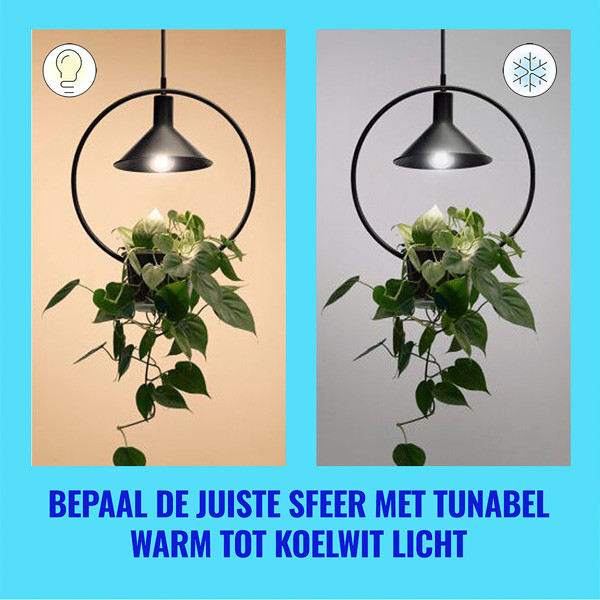 WiZ Connected WiZ Smart lamp E27 | Peer A60 | Ultra Efficient | Filament | Helder | 2700-4000K | 4.3W (60W)  LWI00125 - 8