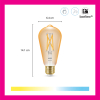 WiZ Connected WiZ Starterkit E27 | Edison ST64 | 2000-5000K | 2 lampen en 1 afstandsbediening | 7W (50W)  LWI00141 - 2