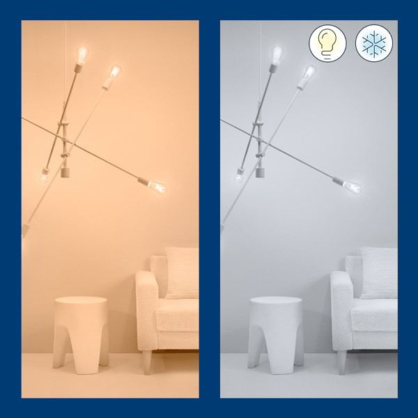 WiZ Connected WiZ Starterkit E27 | Edison ST64 | 2000-5000K | 2 lampen en 1 afstandsbediening | 7W (50W)  LWI00141 - 6