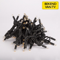 Winglinks Koppelbare kerstverlichting 10 meter | Warm Wit | 100 lampjes | 230V | Professioneel  LDR07087