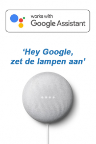 Google Assistant