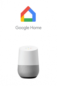 Google Home