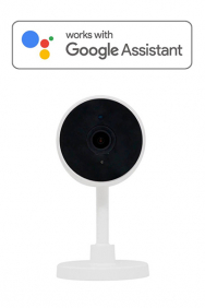 Camera's voor Google Assistant