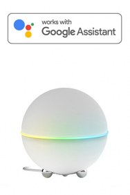 Hubs voor Google Assistant