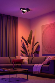 Philips Hue Opbouwspots