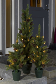 Kleine kerstboom