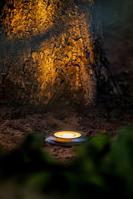Uplights 12V
