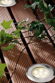 Decklights 12V