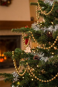 Kerstslingers